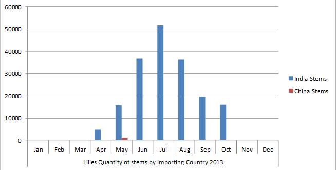 Lily Statistics